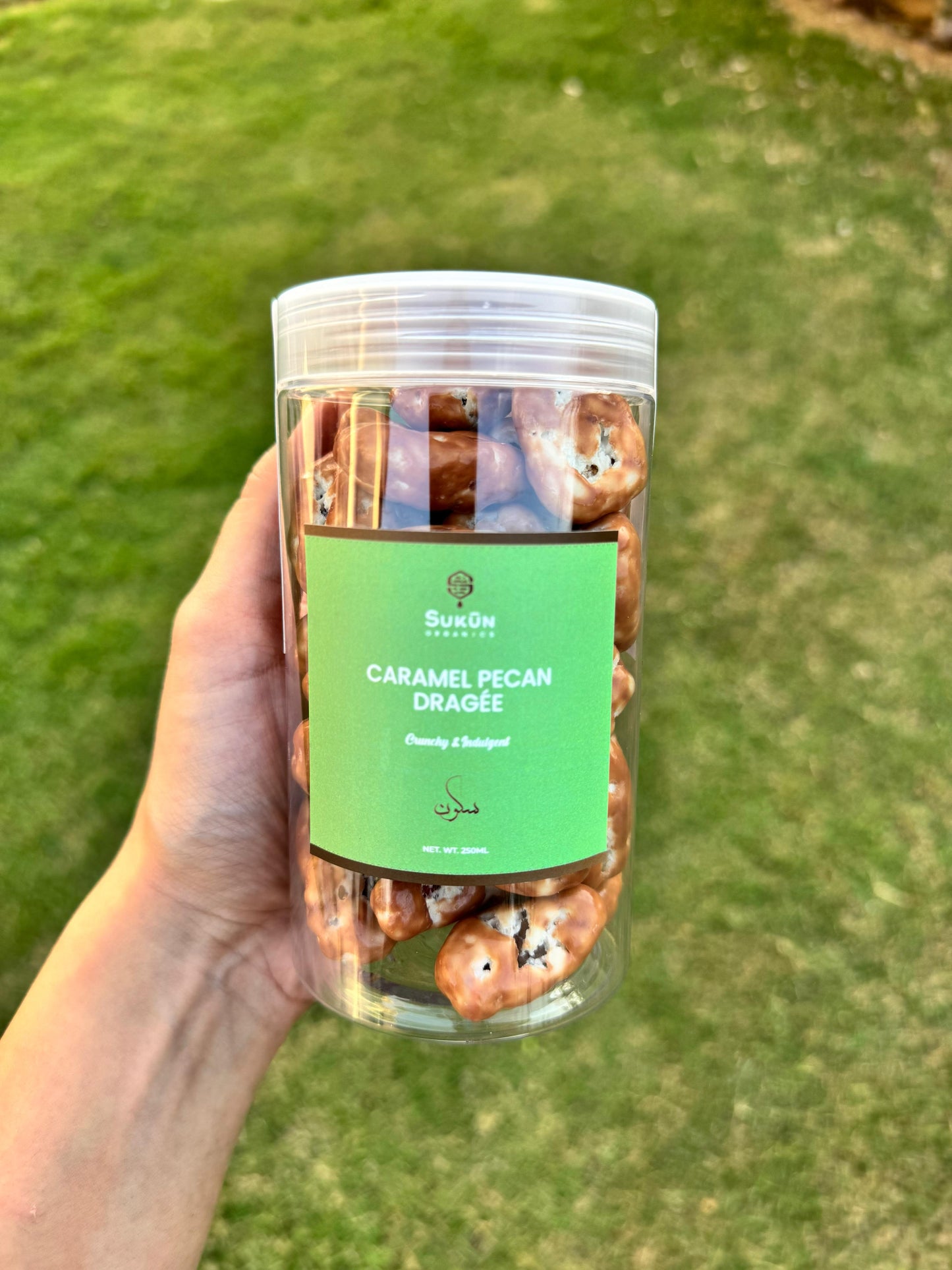 Caramel Pecan Dragée