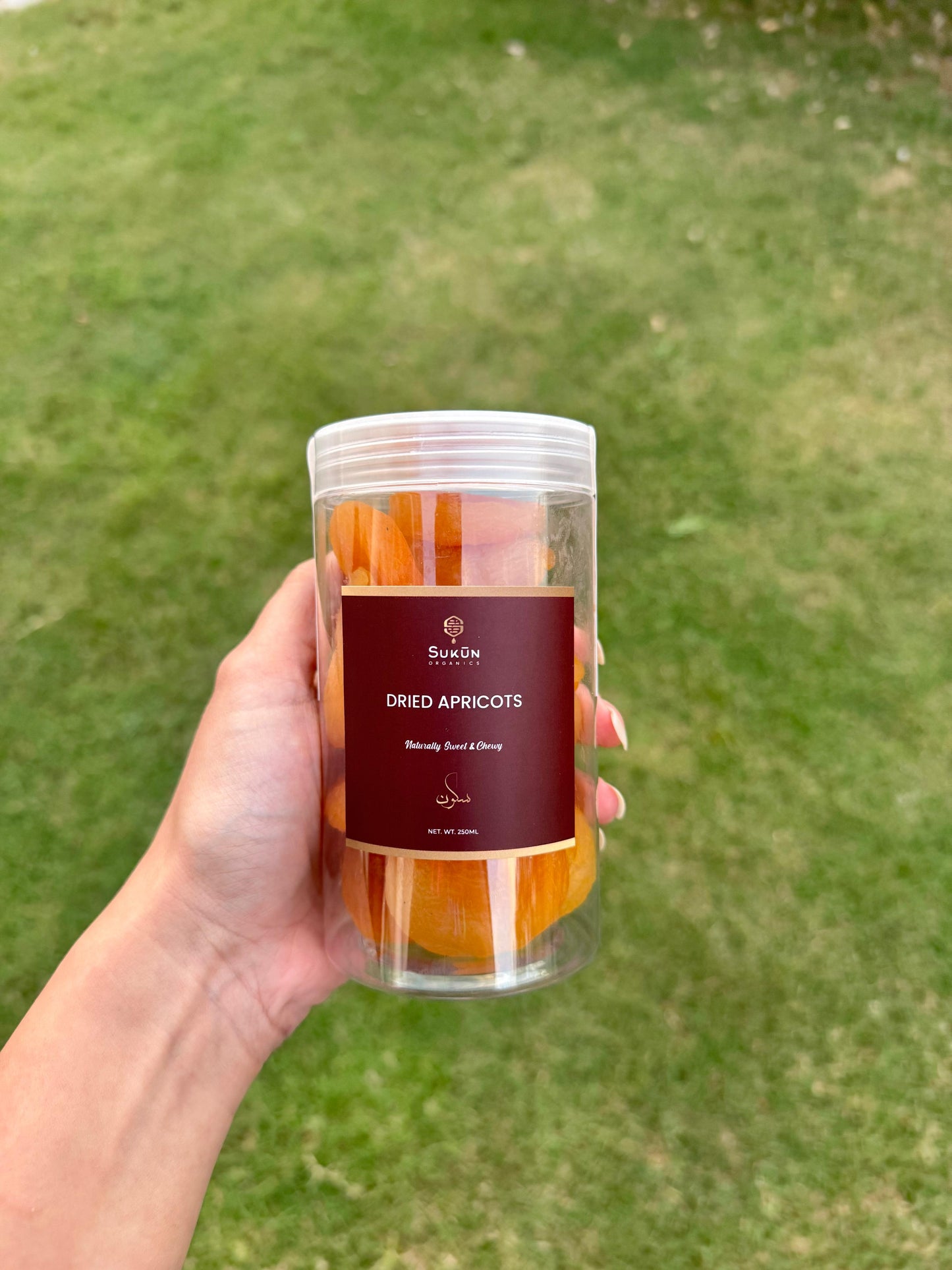 Jumbo Dried Apricots